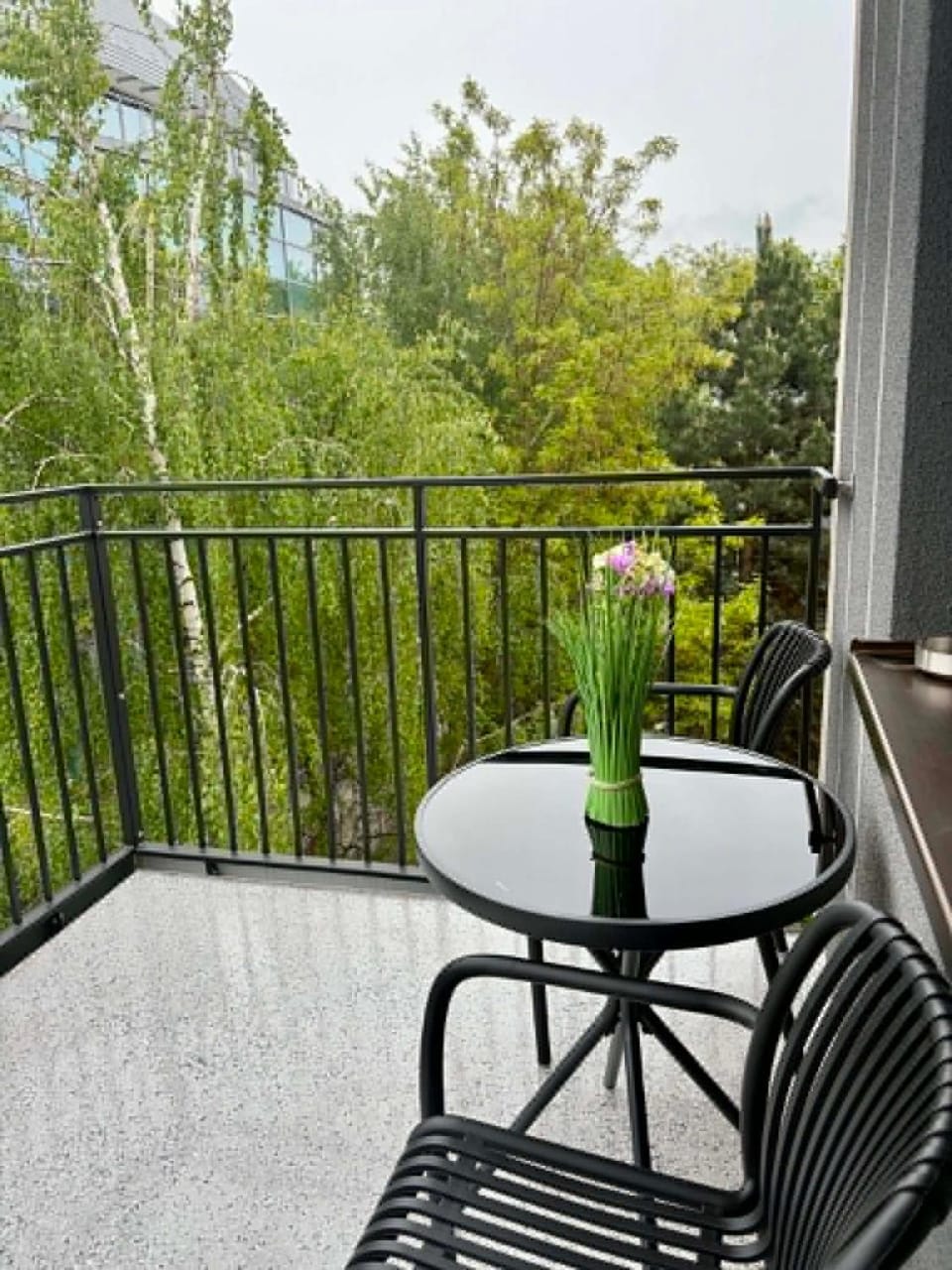 Studio Borowska 268 standard free parking Apartment in Wroclaw