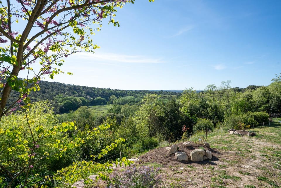 Garden view