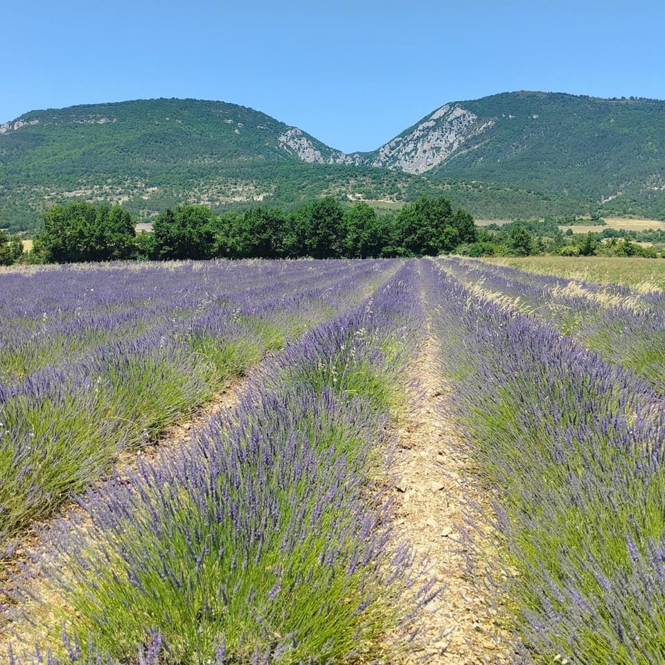 Natural landscape, Mountain view