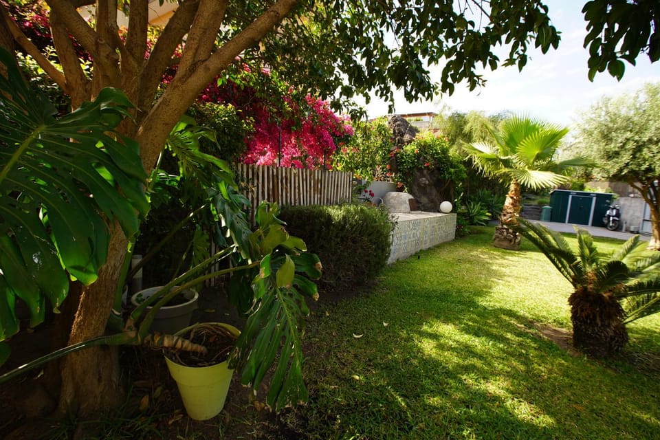 Garden, Garden
