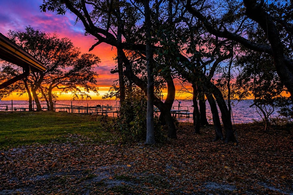 Cozy Bayfront Log Cabin! Fishing Pier, Swim Dock! Cabin in Alabama
