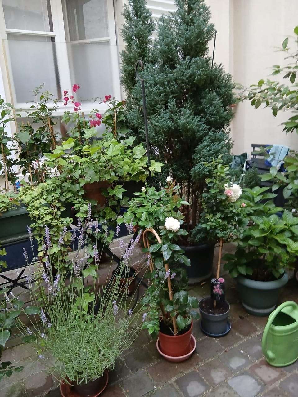 Property building, Spring, Day, Garden