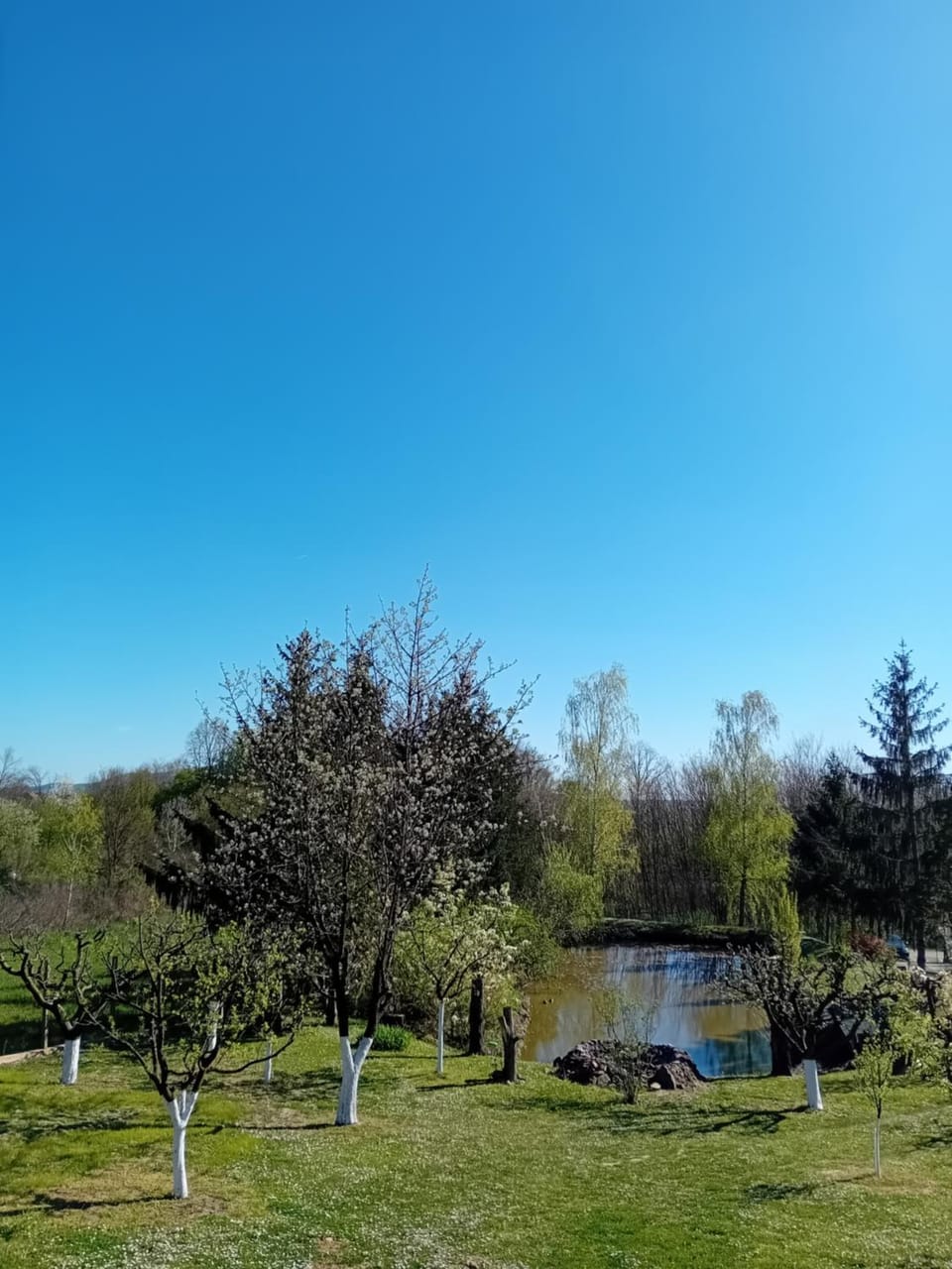 Fishing, Garden