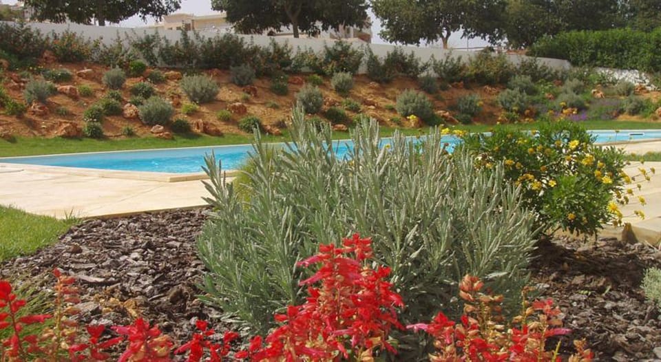Garden, Swimming pool