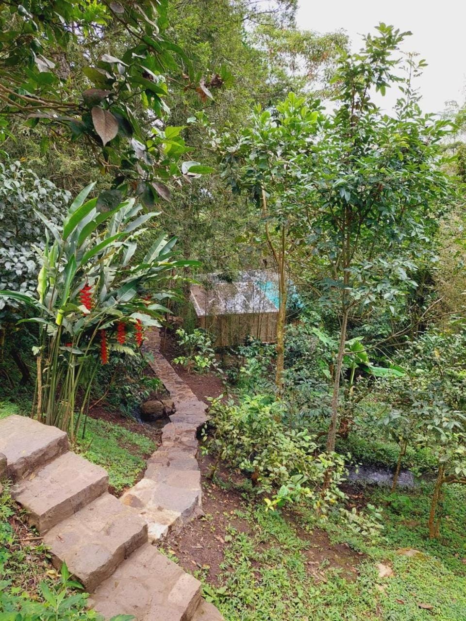 Sirio Luxury tent in Cundinamarca, Colombia