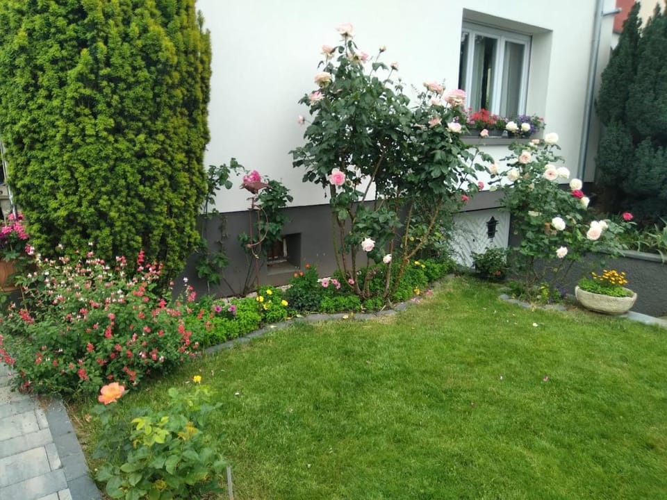La rose Apartment in Strasbourg