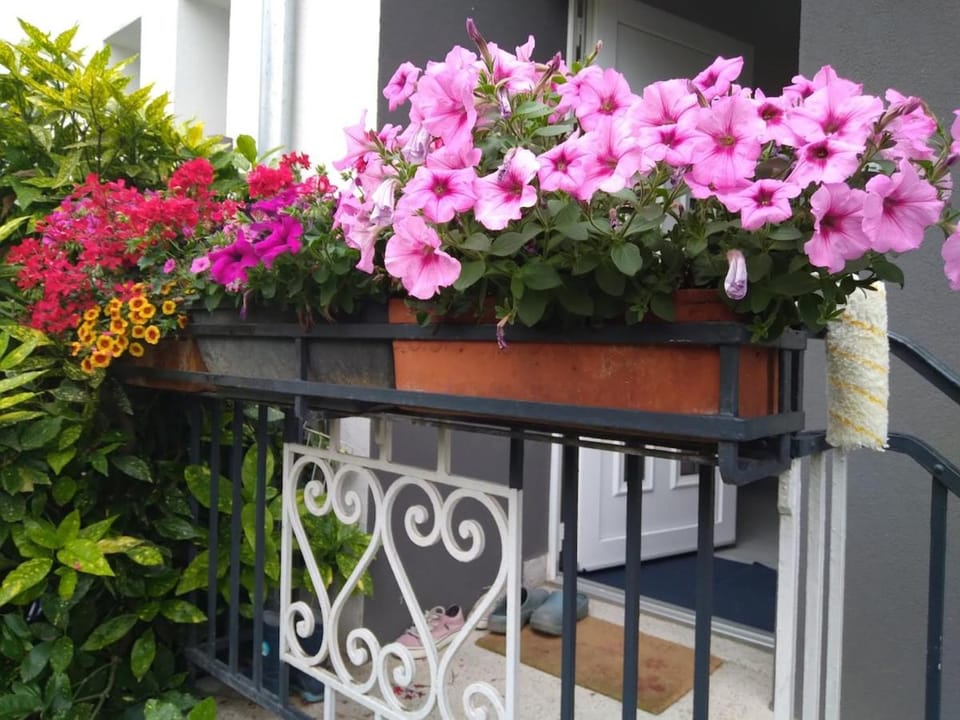 La rose Apartment in Strasbourg