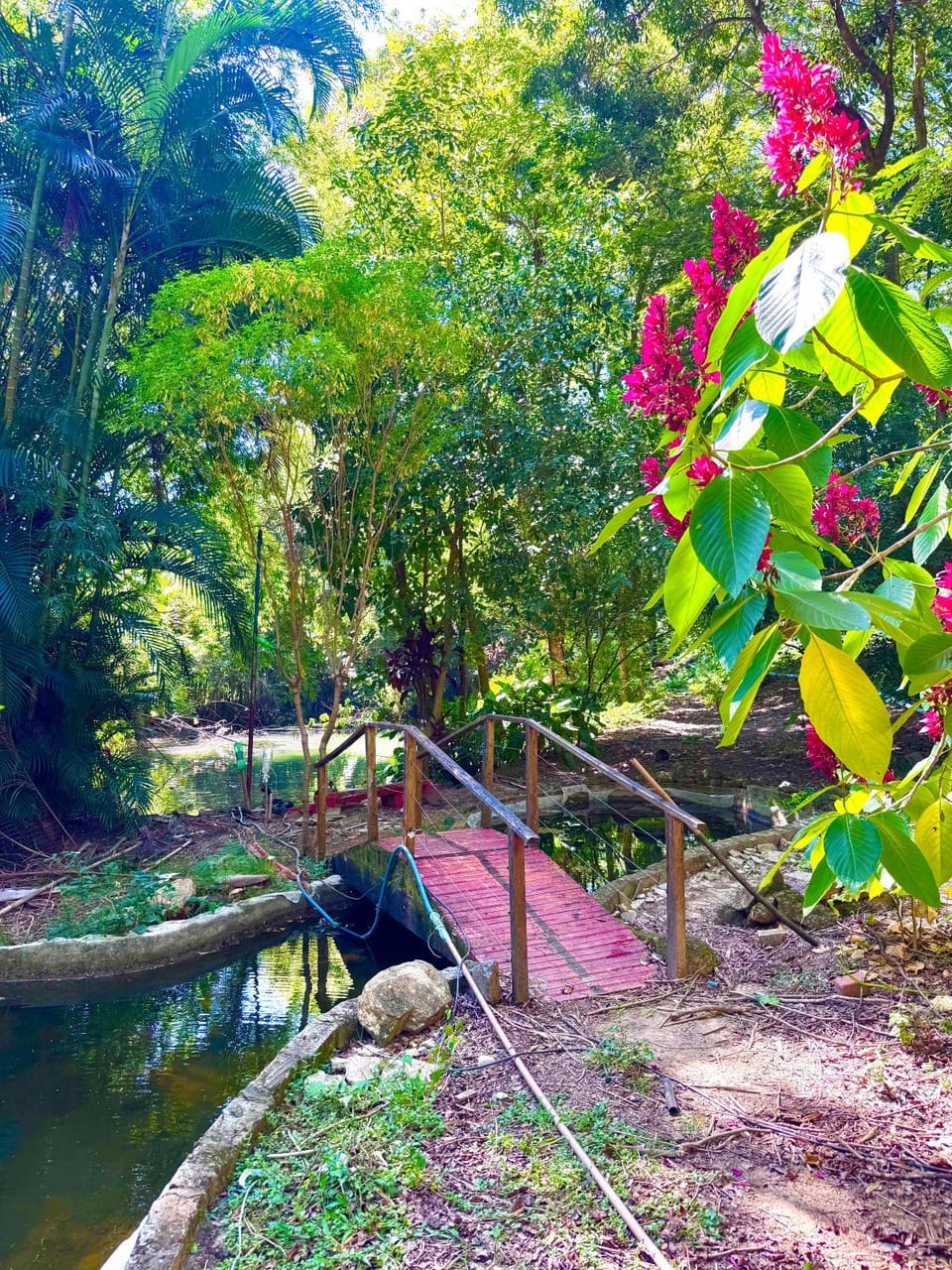 Quarto suíte privativo em campinas para 4 pessoas Bed and Breakfast in Paulínia