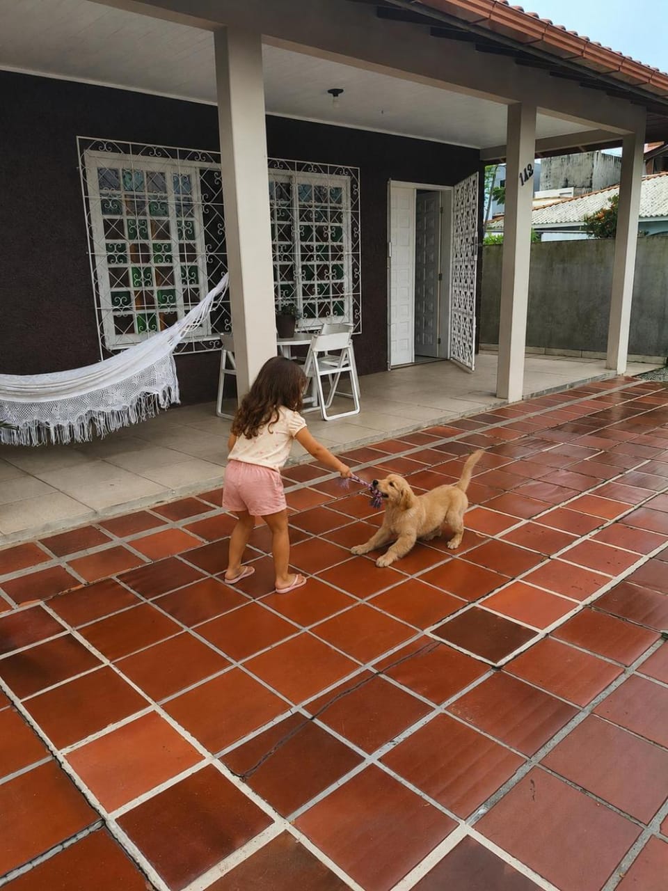 Pets
