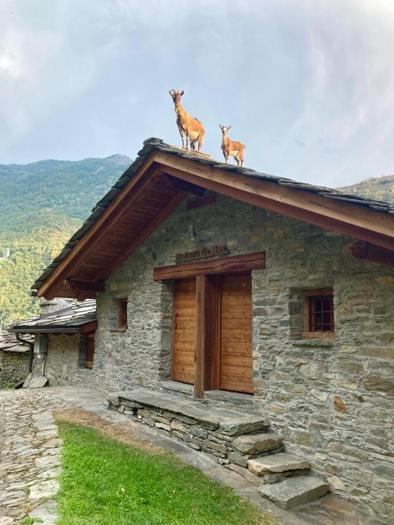 Maison de Noé Bed and Breakfast in Aosta
