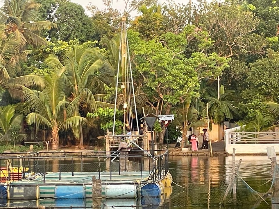 D Cunhas Riviera Bed and Breakfast in Kochi