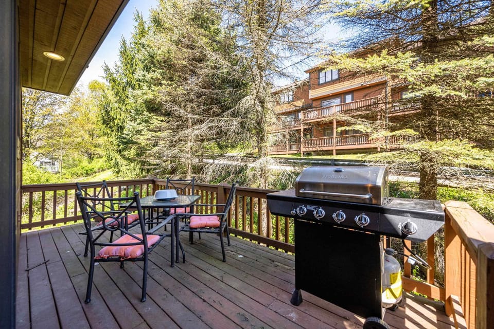Walkable Stone Ridge Townhouse Village & HoliMont House in Ellicottville
