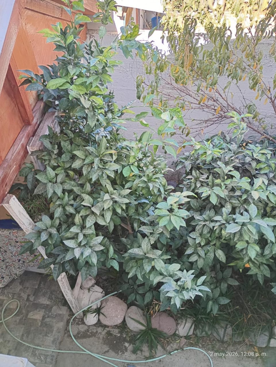 Valle de Elqui House in Coquimbo Region