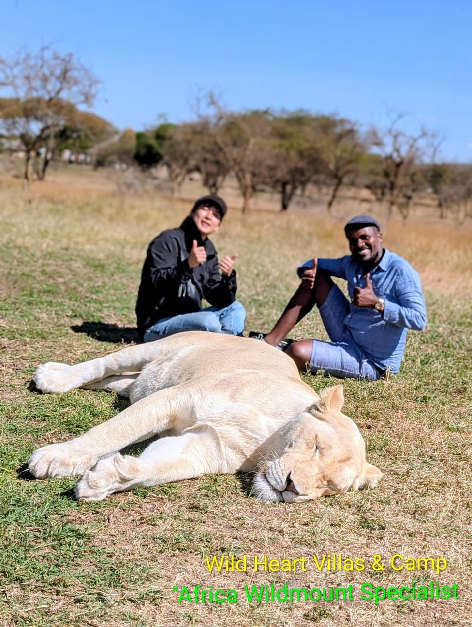 wild heart and camps villas Bed and Breakfast in Tanzania