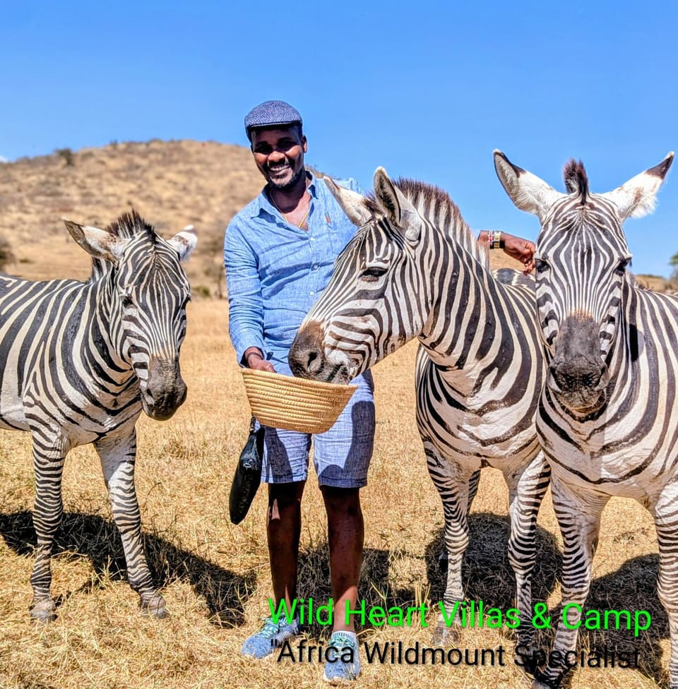 wild heart and camps villas Bed and Breakfast in Tanzania