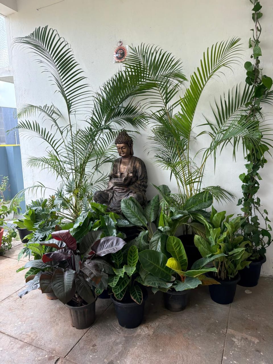 RR Service Apartment Hotel in Mysuru