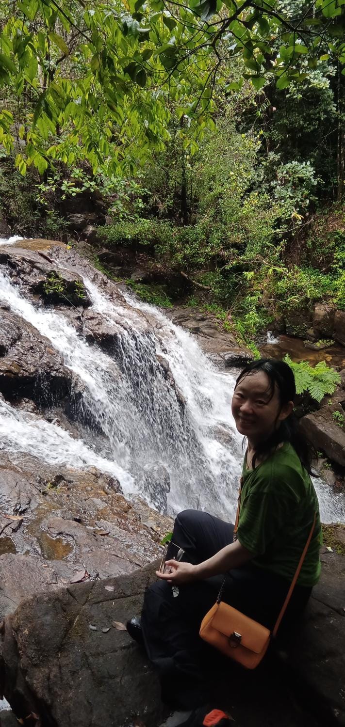 Makandawa tropical rainforest Kithulgala hiking camping bird watching Luxury tent in Sri Lanka