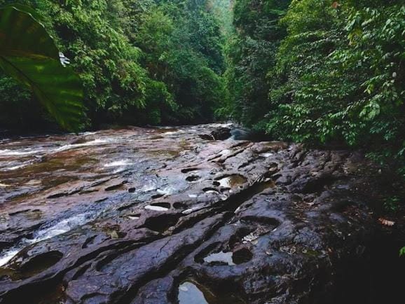 Makandawa tropical rainforest Kithulgala hiking camping bird watching Luxury tent in Sri Lanka