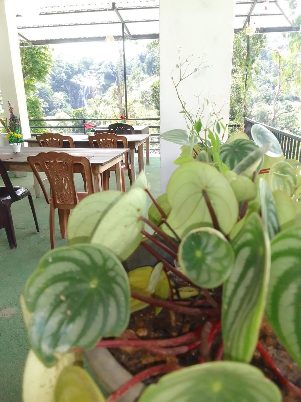 Natures glow hostal Hostel in Ella