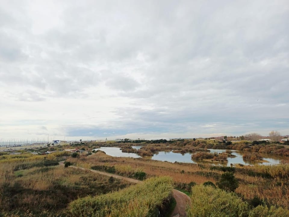 Rome Beach & Fiumicino Airport apartment Apartment in Ostia