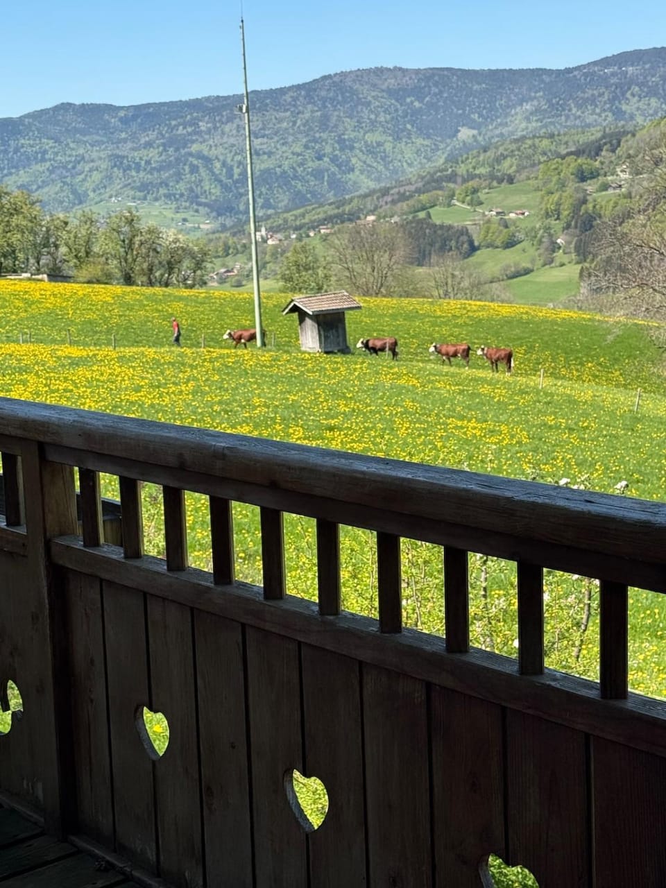 Le Refuge des Écureuils, family and warm Chalet in Haute-Savoie