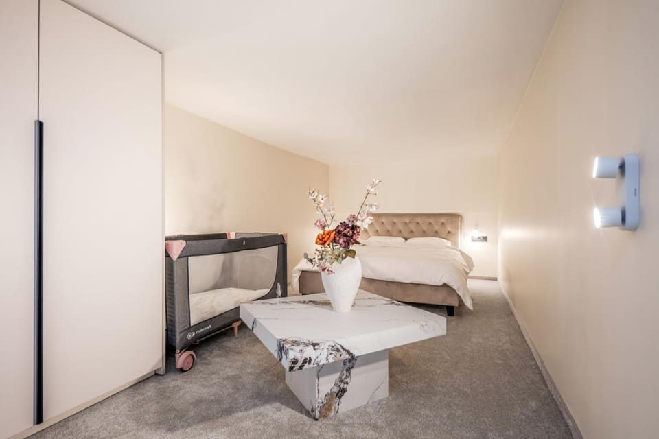 Centro loftai-Free Parking Apartment in Palanga