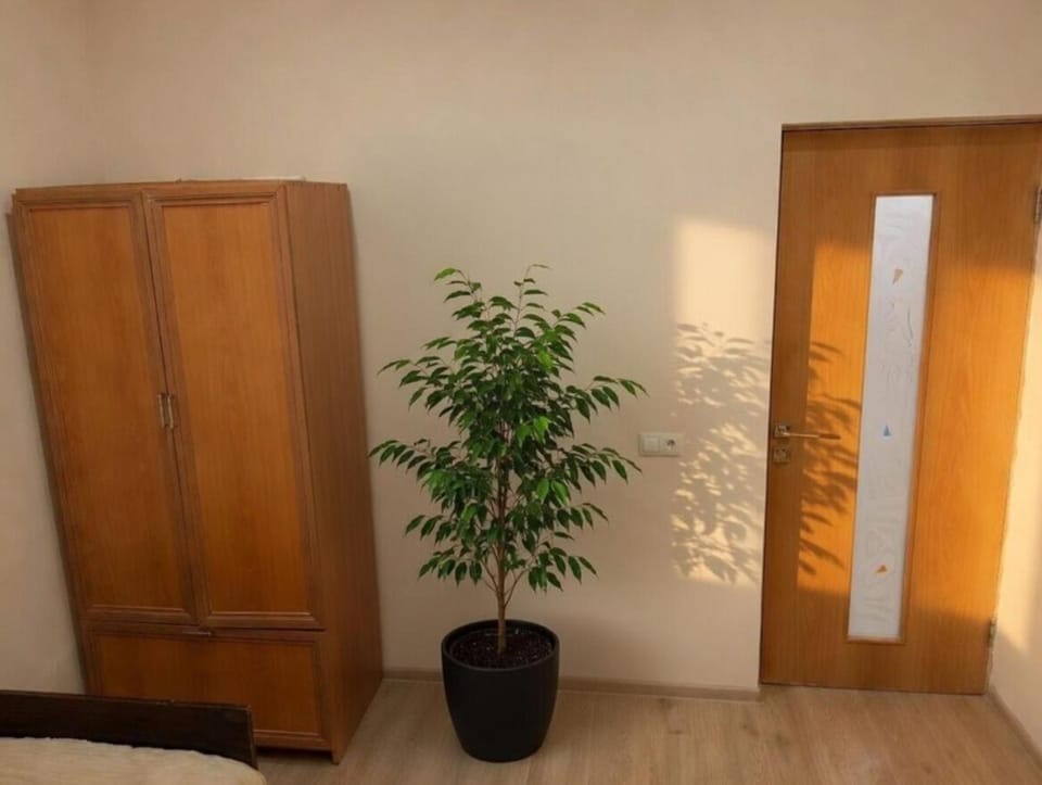 Relax garden area with BBQ zone House in Yerevan