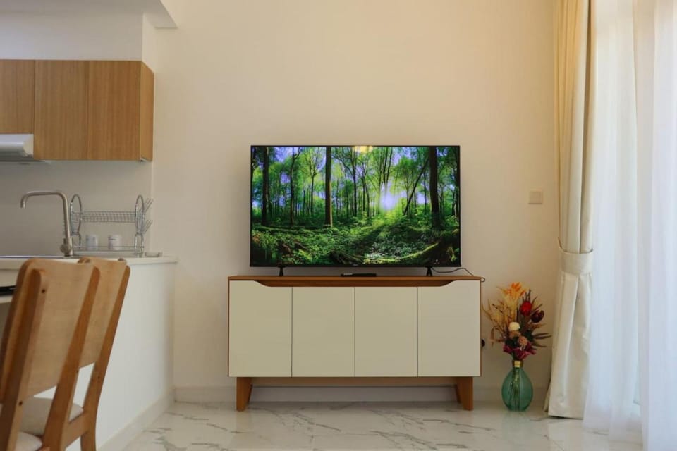 TV and multimedia