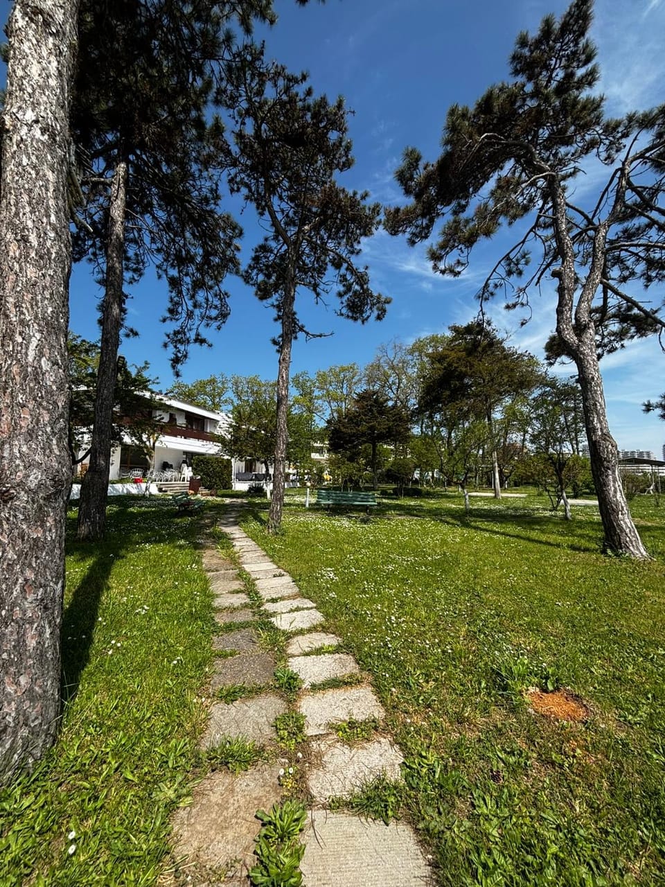 Garden, Garden view