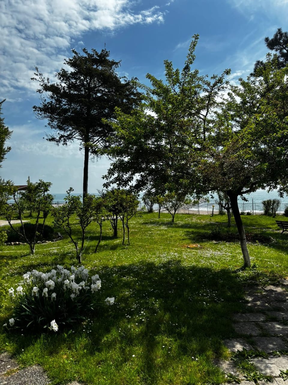 Garden, Garden view
