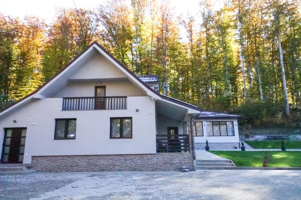 Dey Villa, Valea Avrigului, Transilvania House in Romania