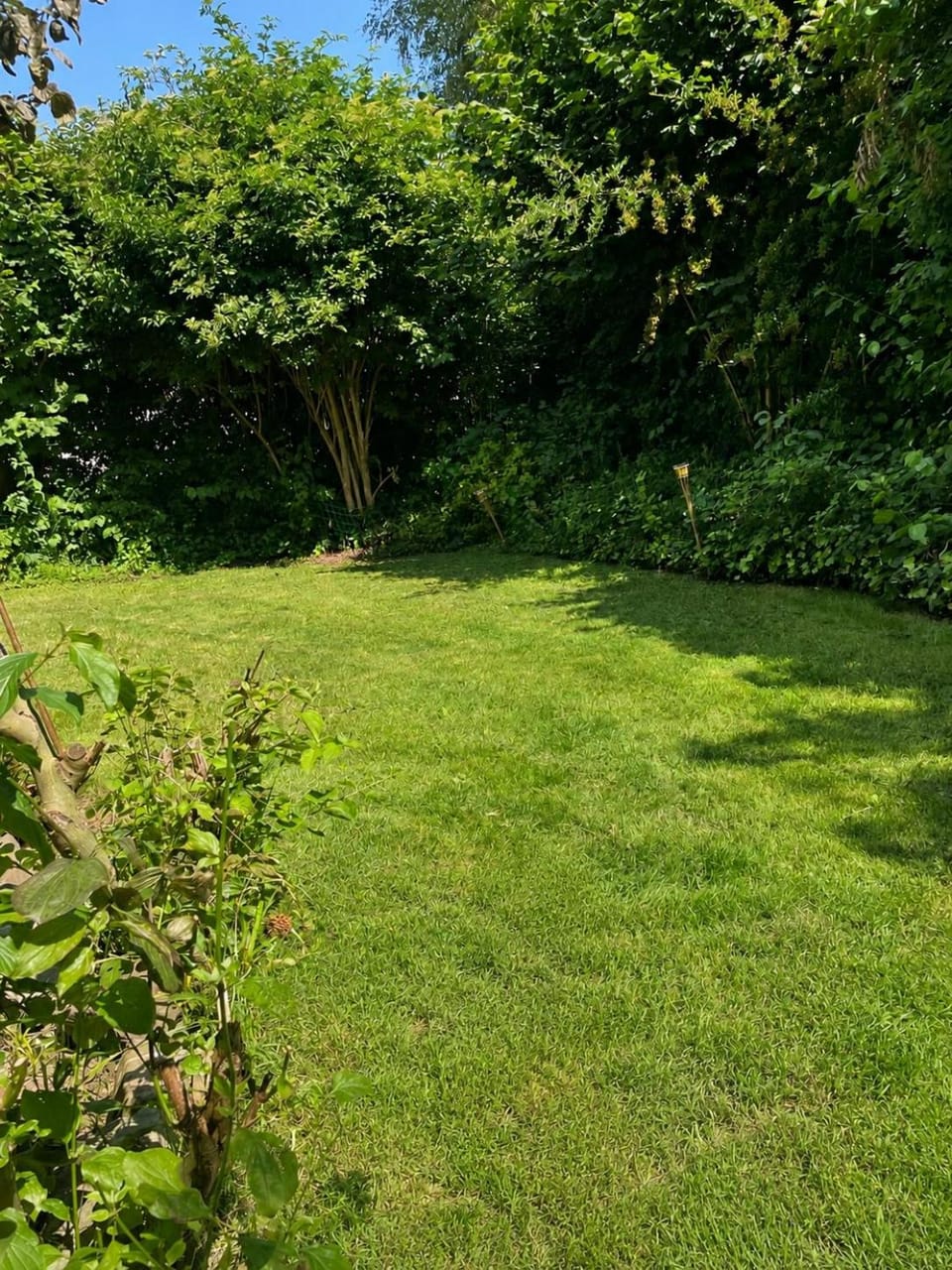 Garden, Garden, Garden view, Garden view