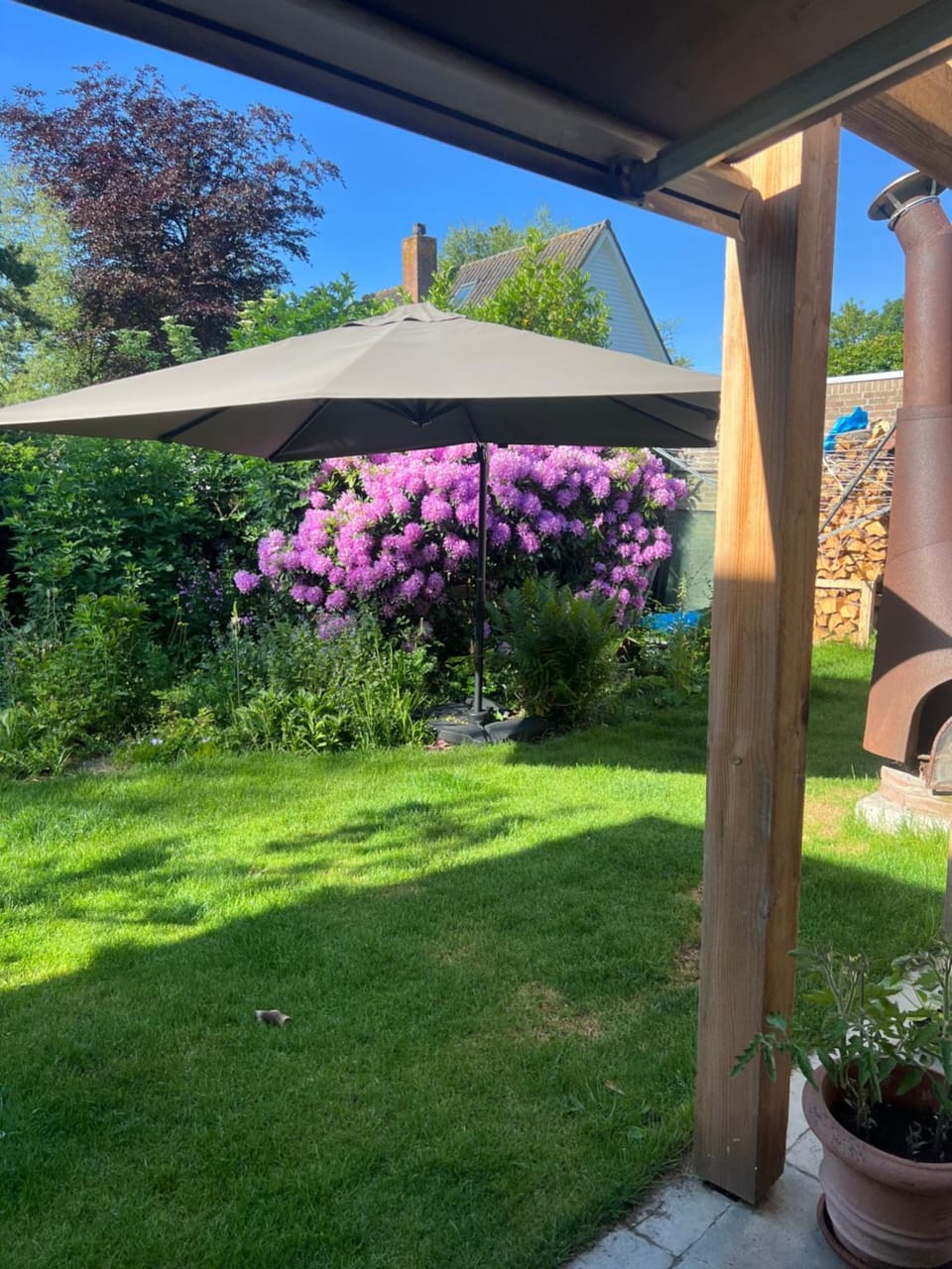 Spring, Garden, Garden view