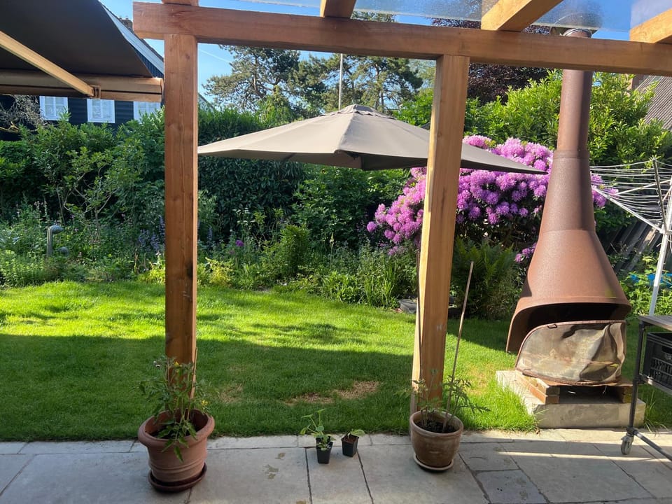 Patio, Spring, Garden, Garden view