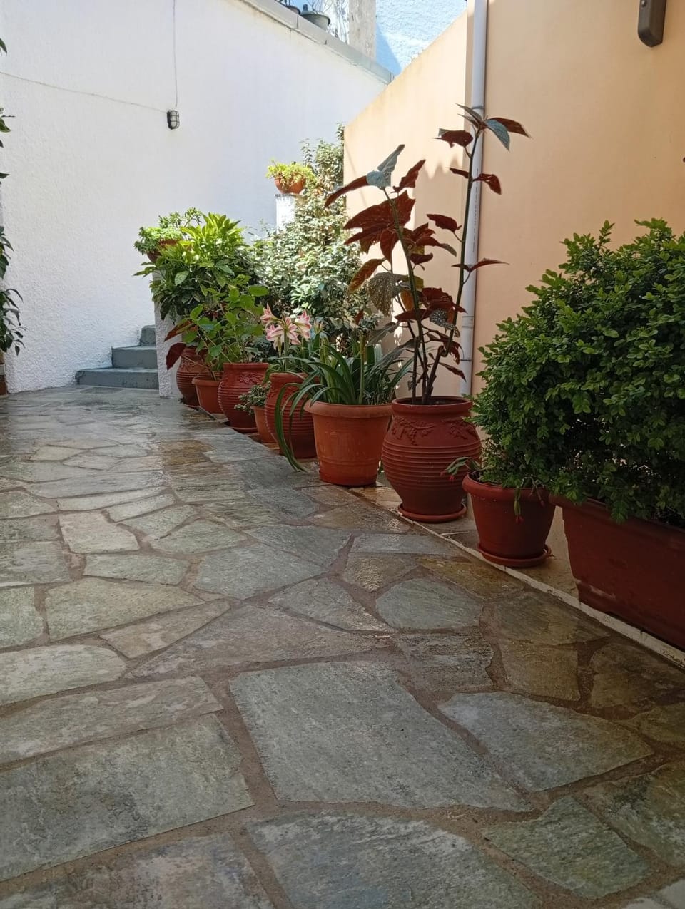 Property building, Day