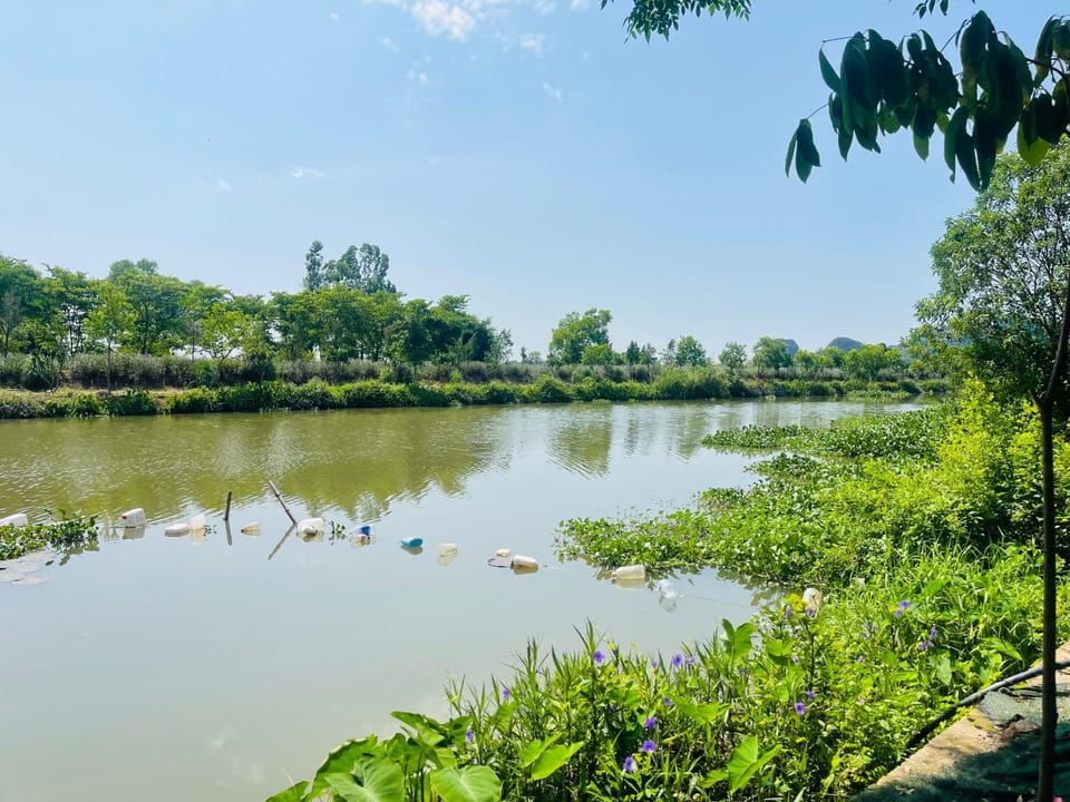 Day, Natural landscape, River view