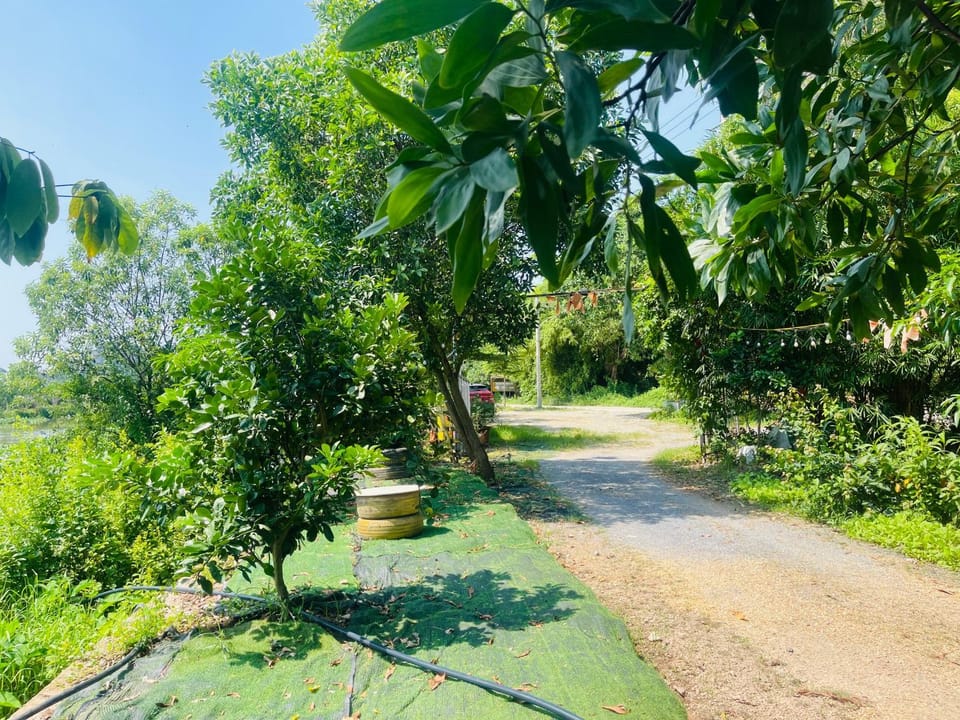 Day, Natural landscape