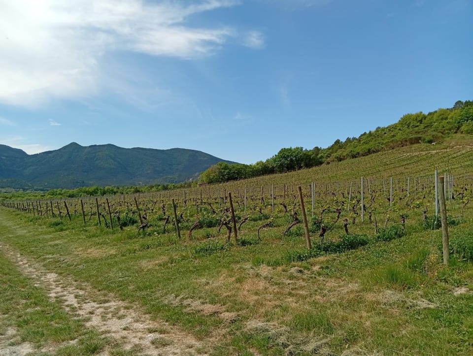 Natural landscape