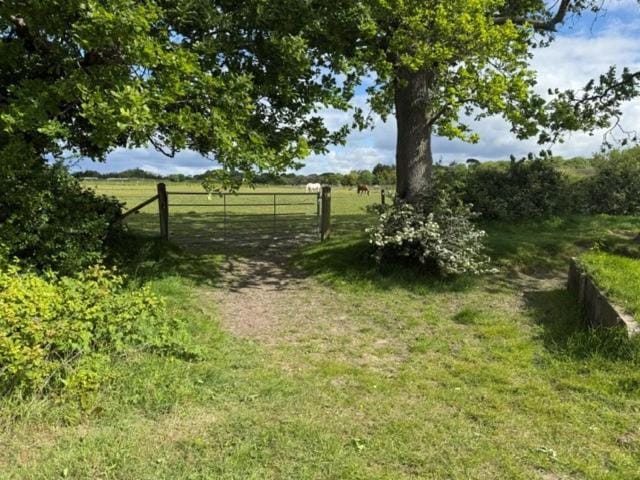 Hurst View Glamping Luxury tent in Milford on Sea