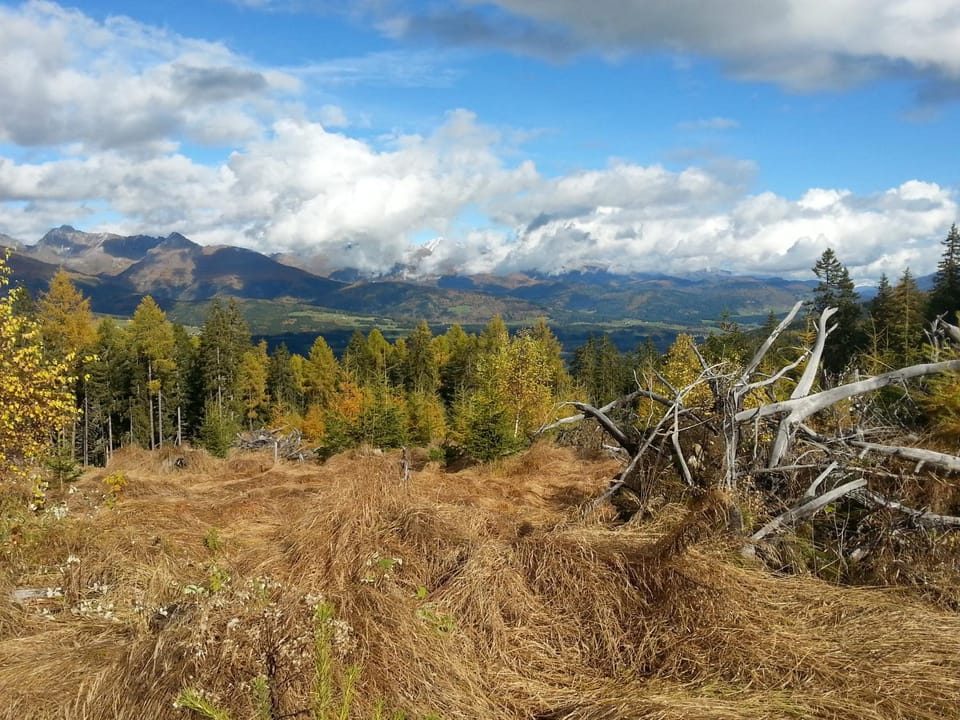 Hiking, Cycling