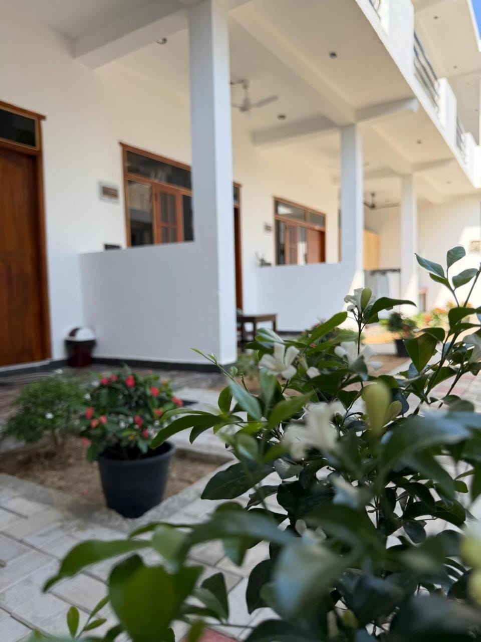 Surf del mar Hotel in Sri Lanka