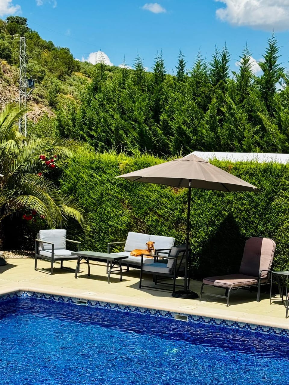 CASA Mista Del Mundo Vacation rental in Andalusia