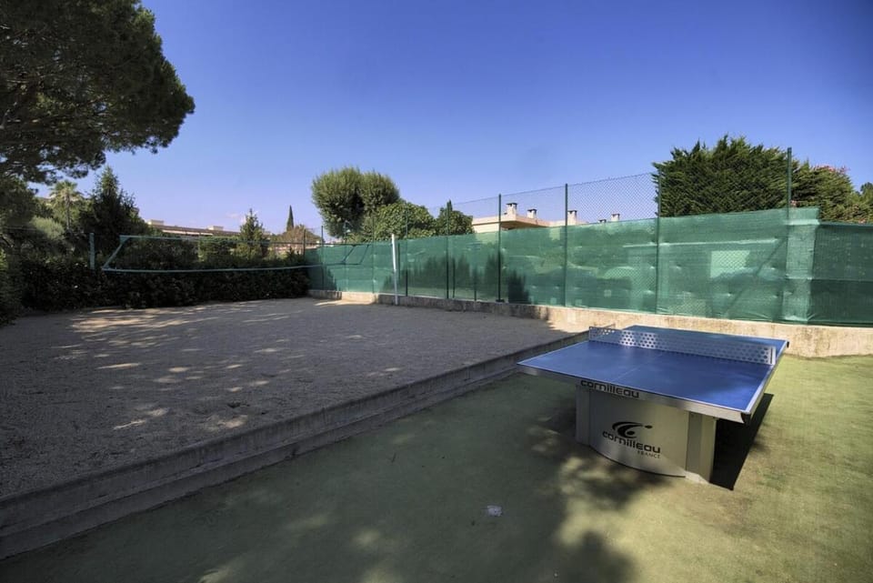 Property building, Garden, Table tennis
