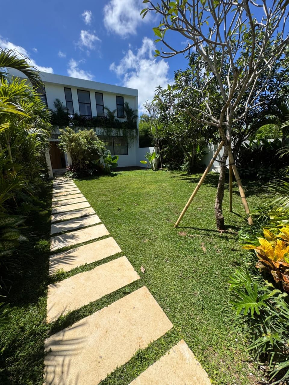 Property building, Garden view