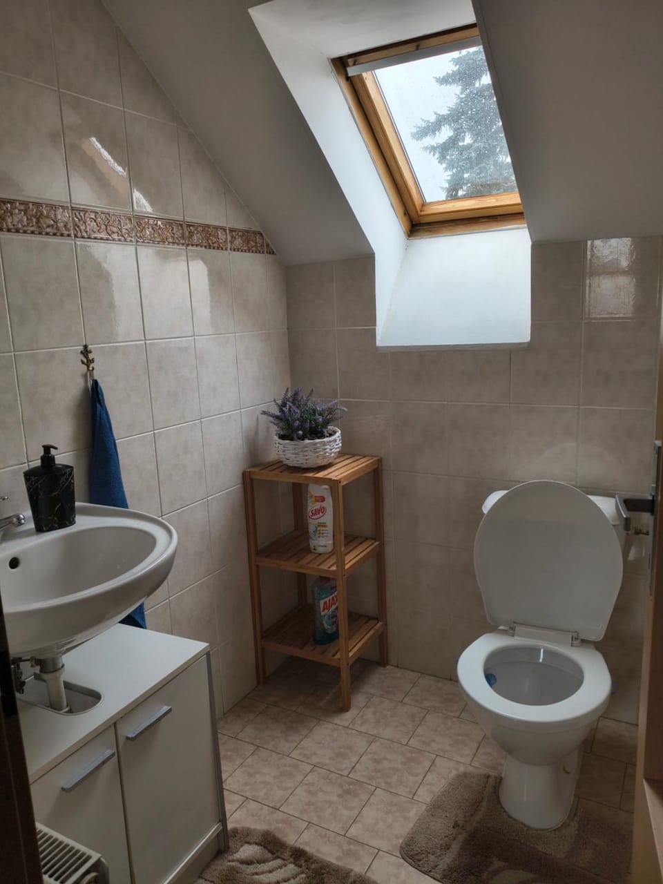 Apartmán Jako Květ Apartment in South Bohemian Region