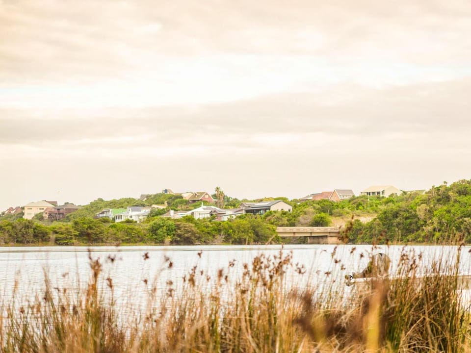 Natural landscape