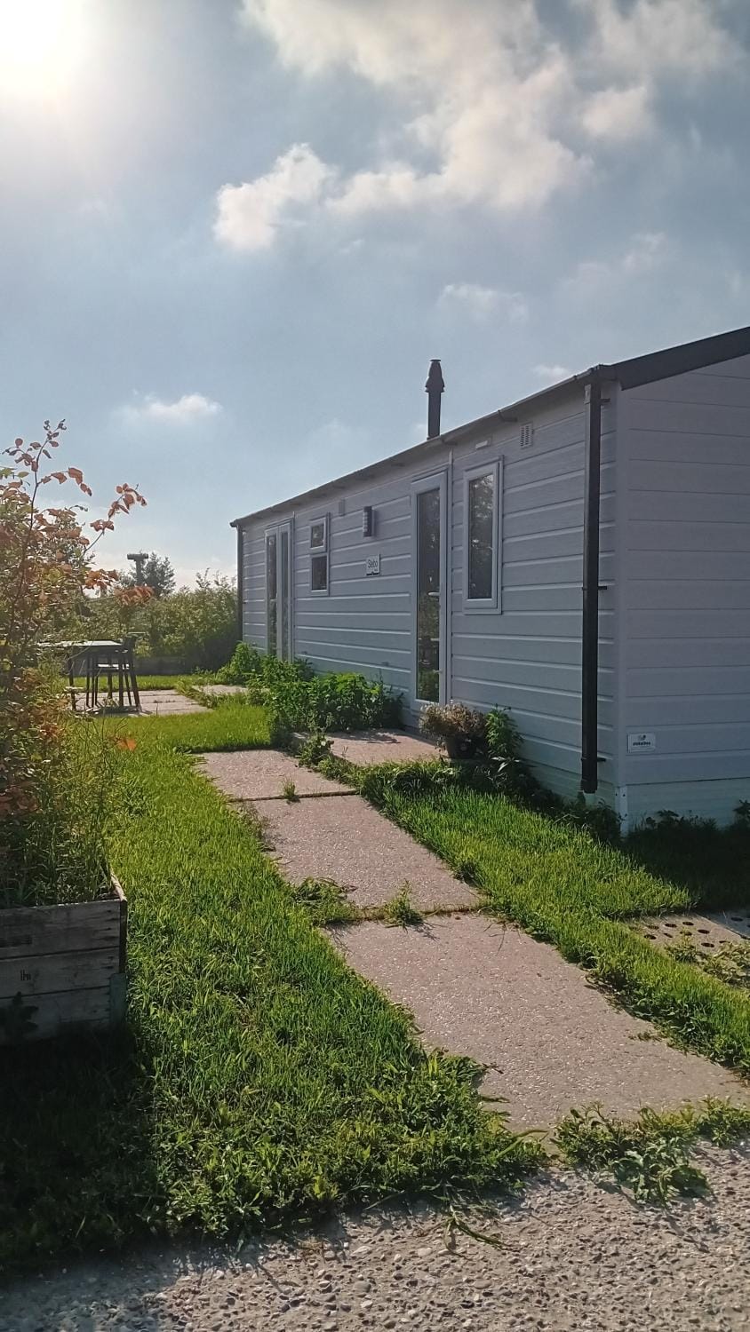 Property building, Day, Garden view