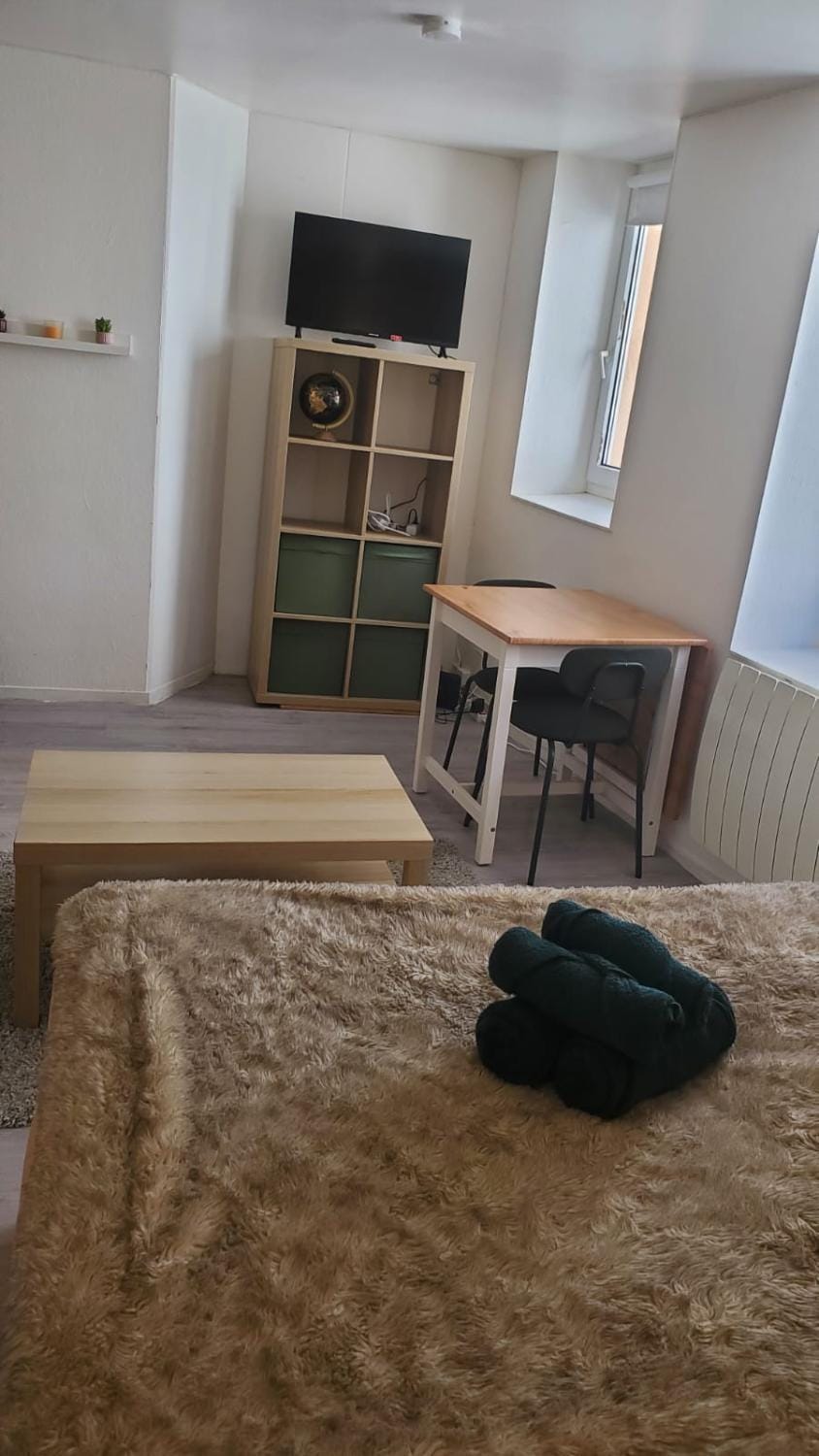 Le Cocon Volcanique - Studio in central Clermont Apartment in Clermont-Ferrand