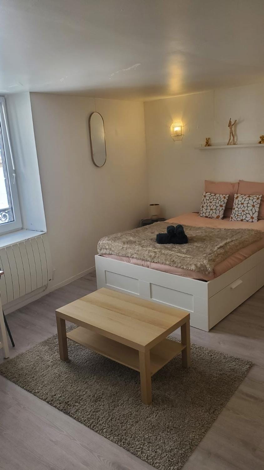 Le Cocon Volcanique - Studio in central Clermont Apartment in Clermont-Ferrand