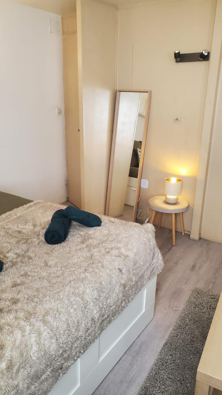 Le Cocon Volcanique - Studio in central Clermont Apartment in Clermont-Ferrand